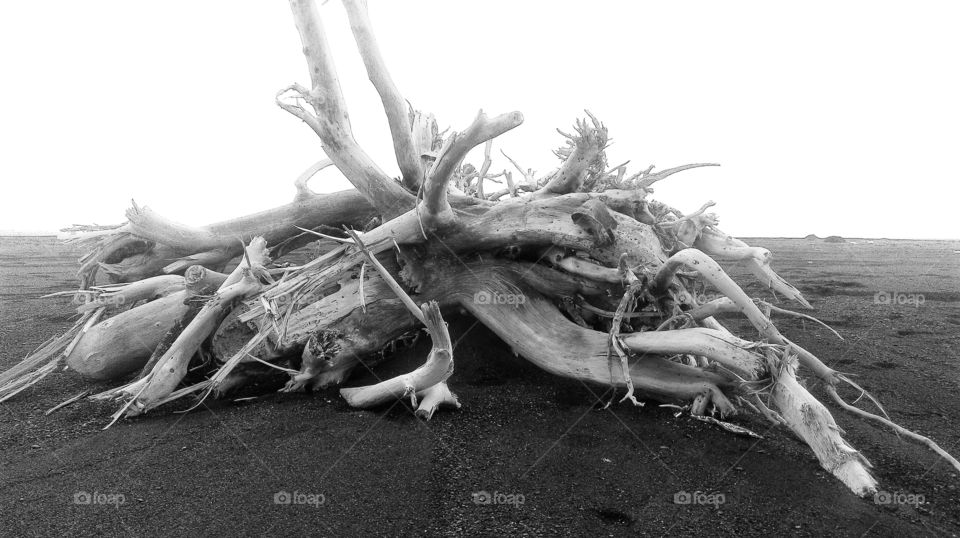 Contemplating about the probability of isolation because changes help conceptualize the problems in one’s head...like the storm turned this pile into drift wood...external forces