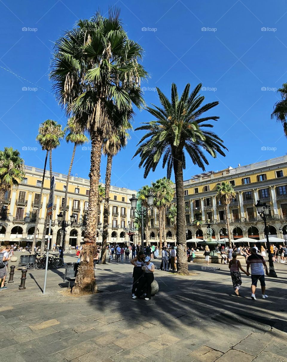 placa reial de Barcelone