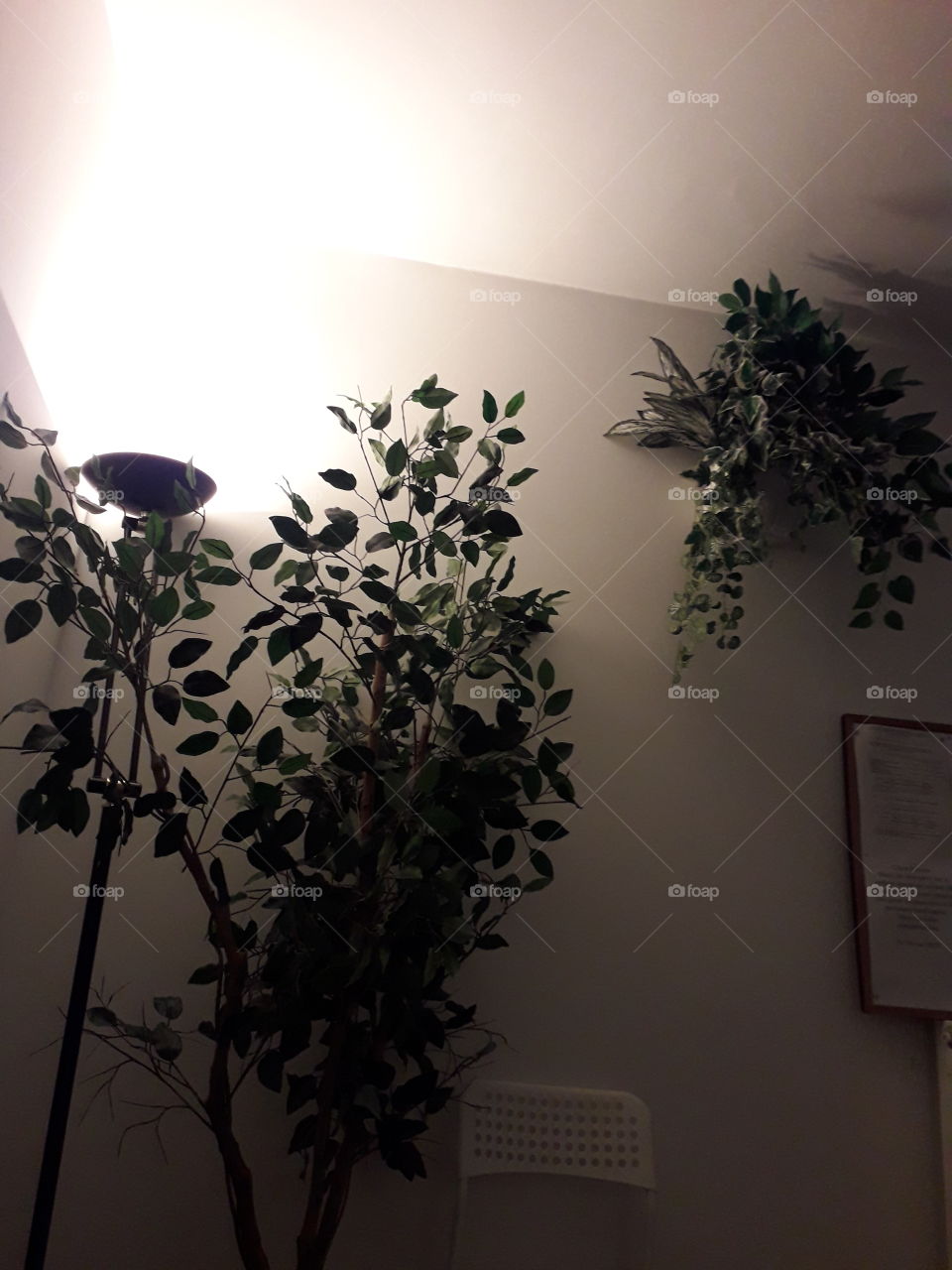 salle d'attente décoré de fleurs