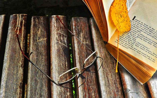 The open book with a yellow leaf and the glasses on the square bench