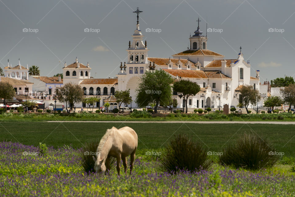 El Rocio in Spain 