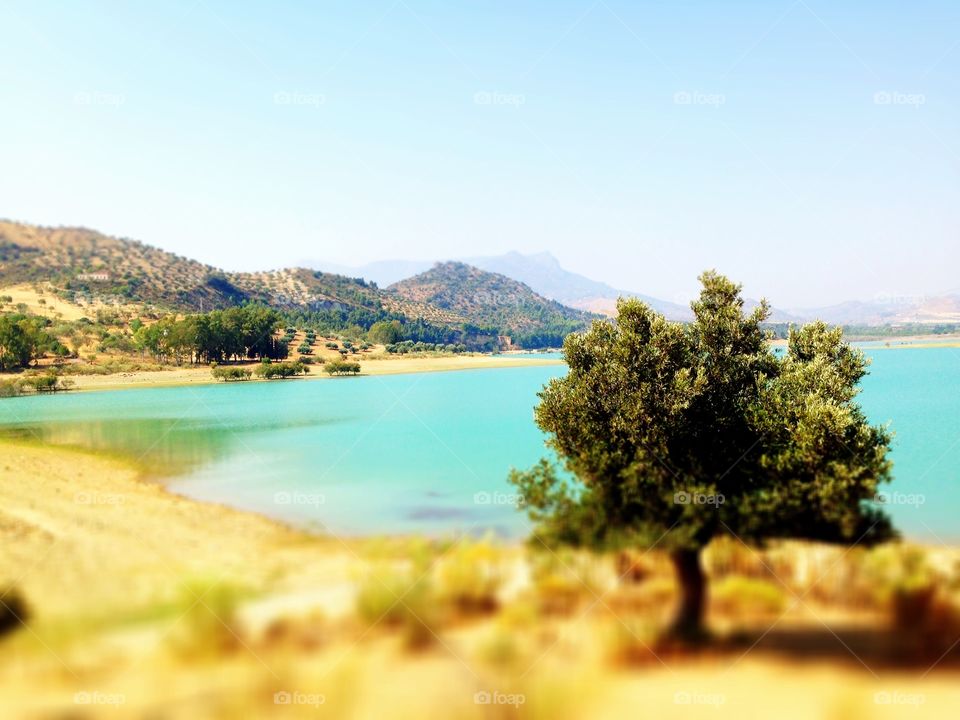 Ardales in Andalusia. Wonderful lake on a very hot day in Andalusia 
