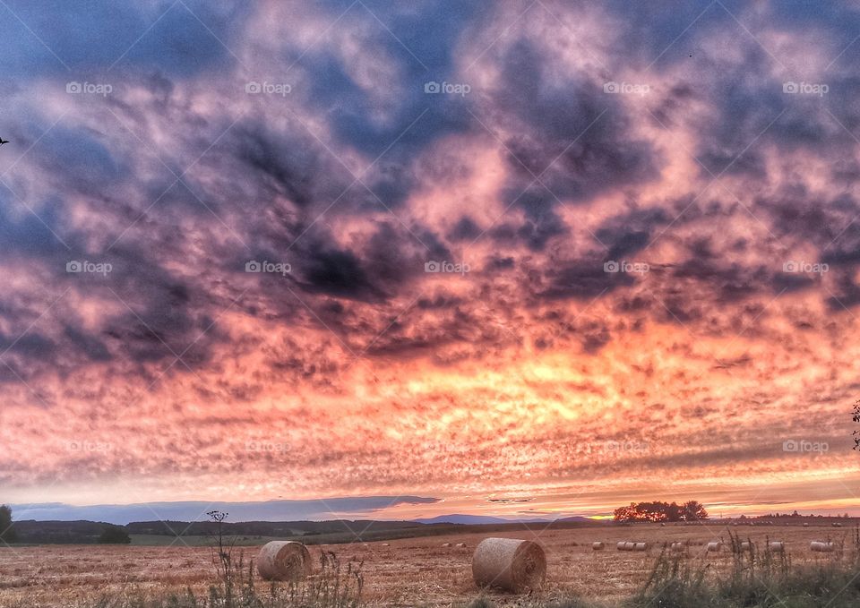 heystacks on the field