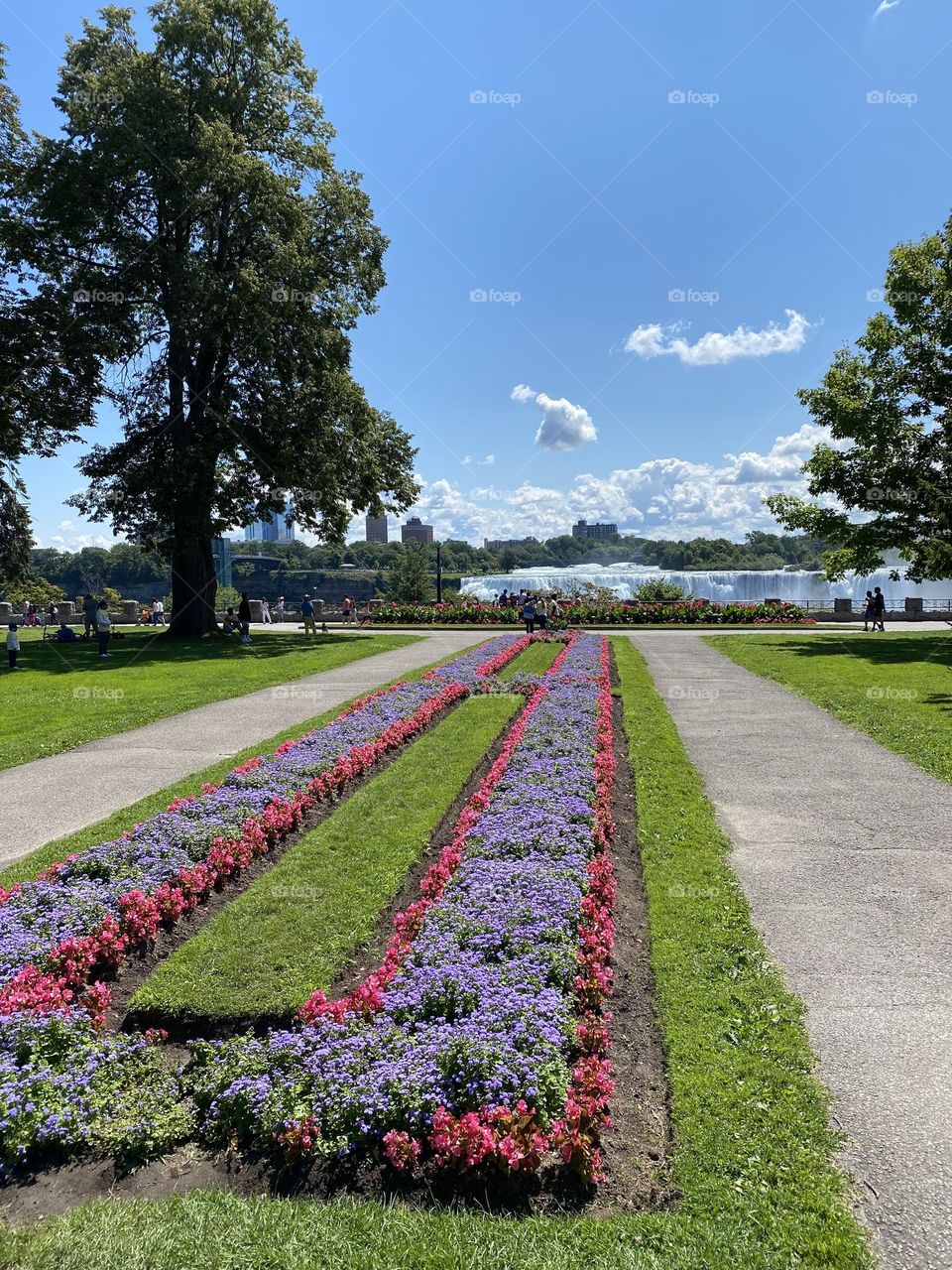 Blossom in the area of Niagara Falls 
