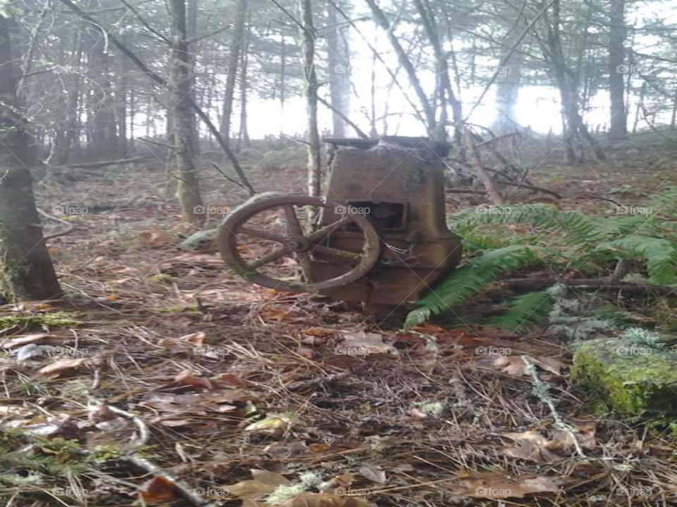 hiking. not sure what this is