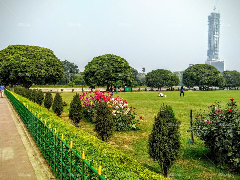 garden of green