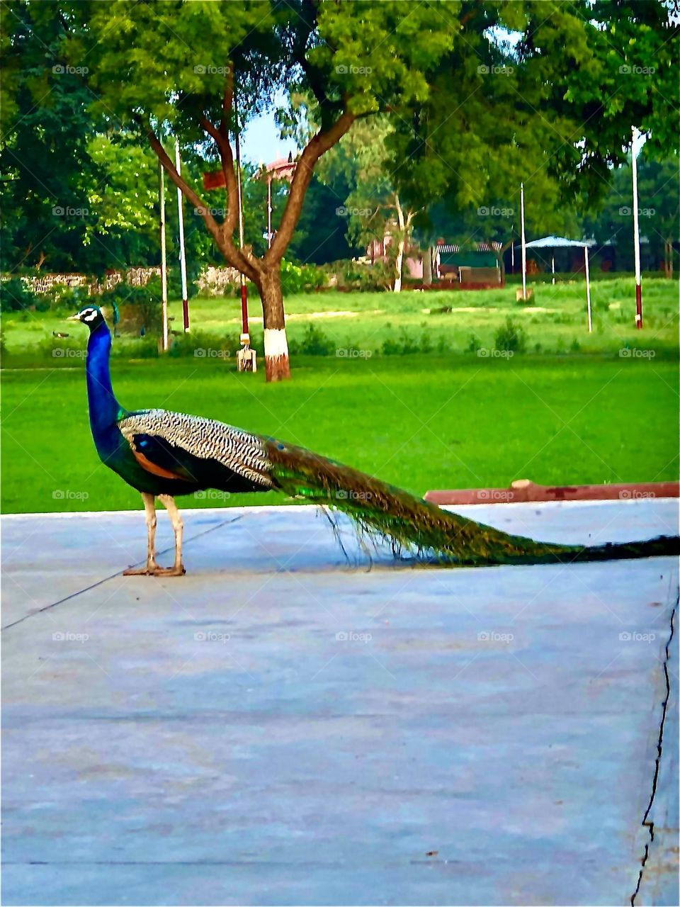 Upload the photo of the month July