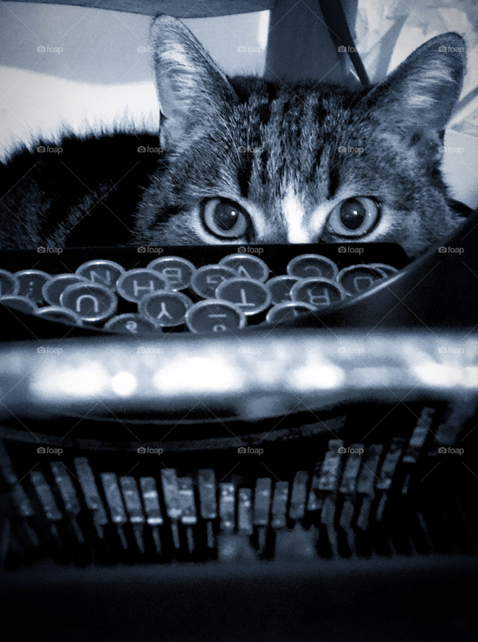 The eyes of a cat that hid behind a typewriter "OLIVETTI". Typewriter keys and cat eyes