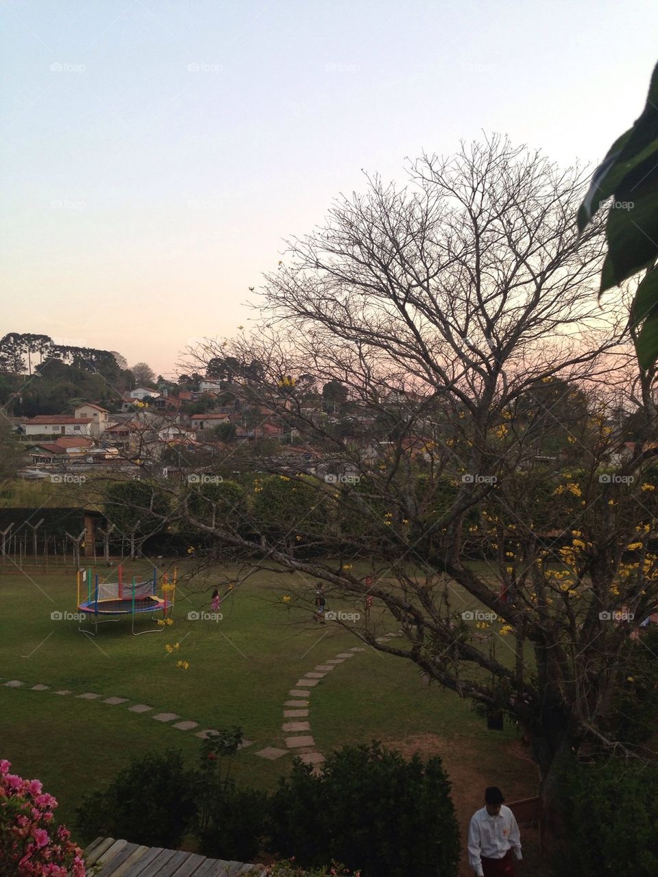 landscape sky green garden by taisschoof