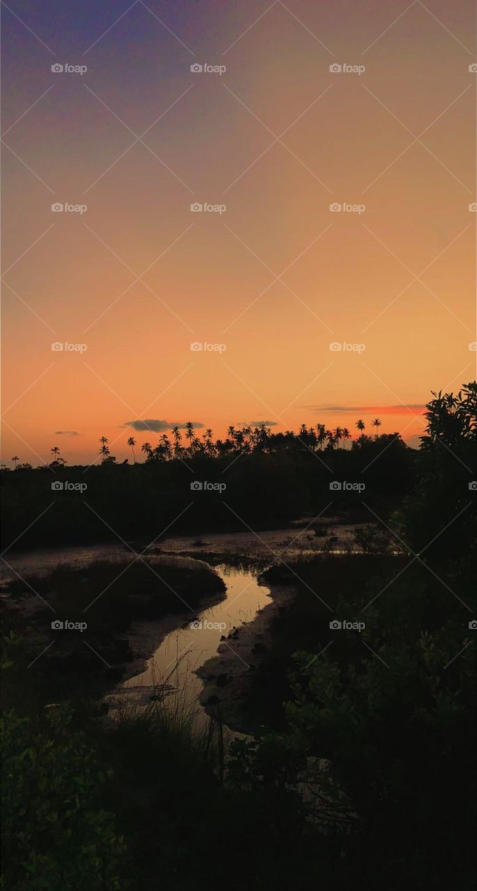 zanzibar 🌅