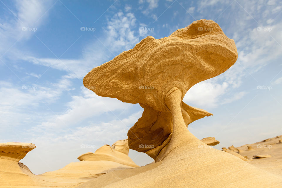 Wonder of the nature: fossil sand rocks in the desert