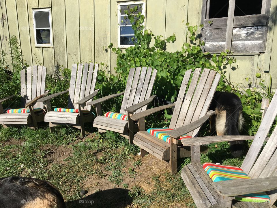 Campfire lounge chairs
