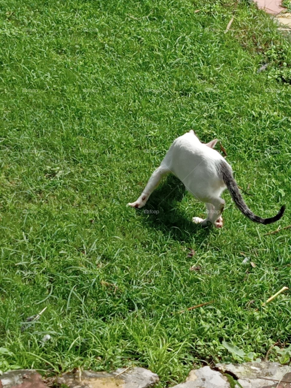 Looking for a playmate 😍