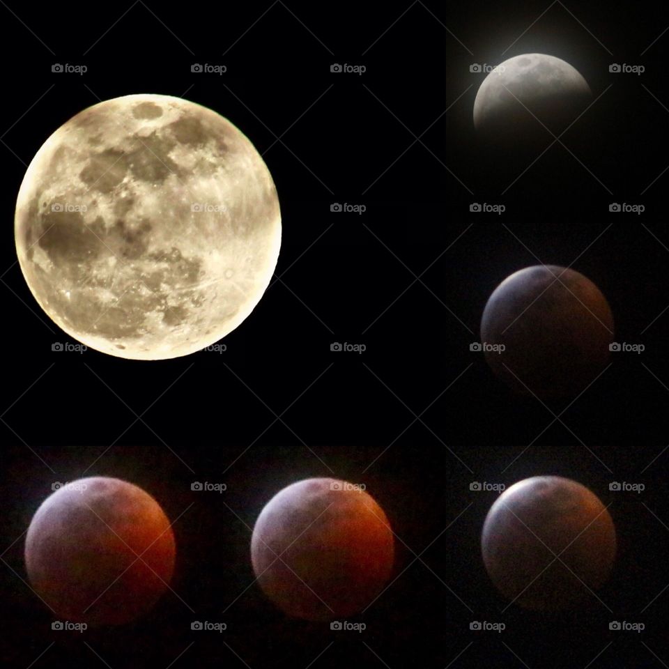 super wolf blood moon eclipse 2019 Tucson Az 