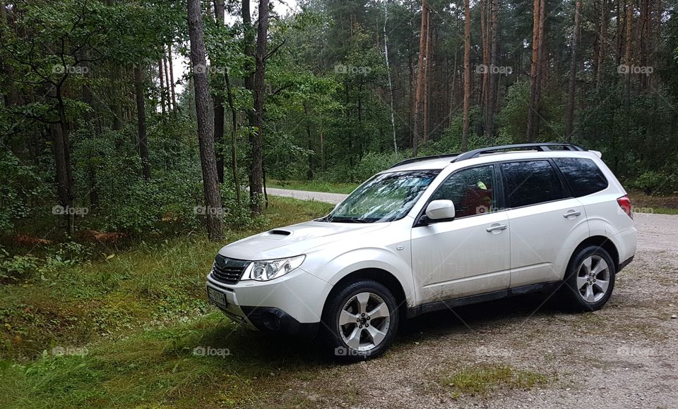 forester in the forest