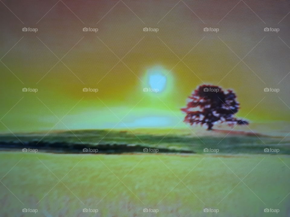 A beautiful evening with the sunset with a photographic landscape with a golden background.