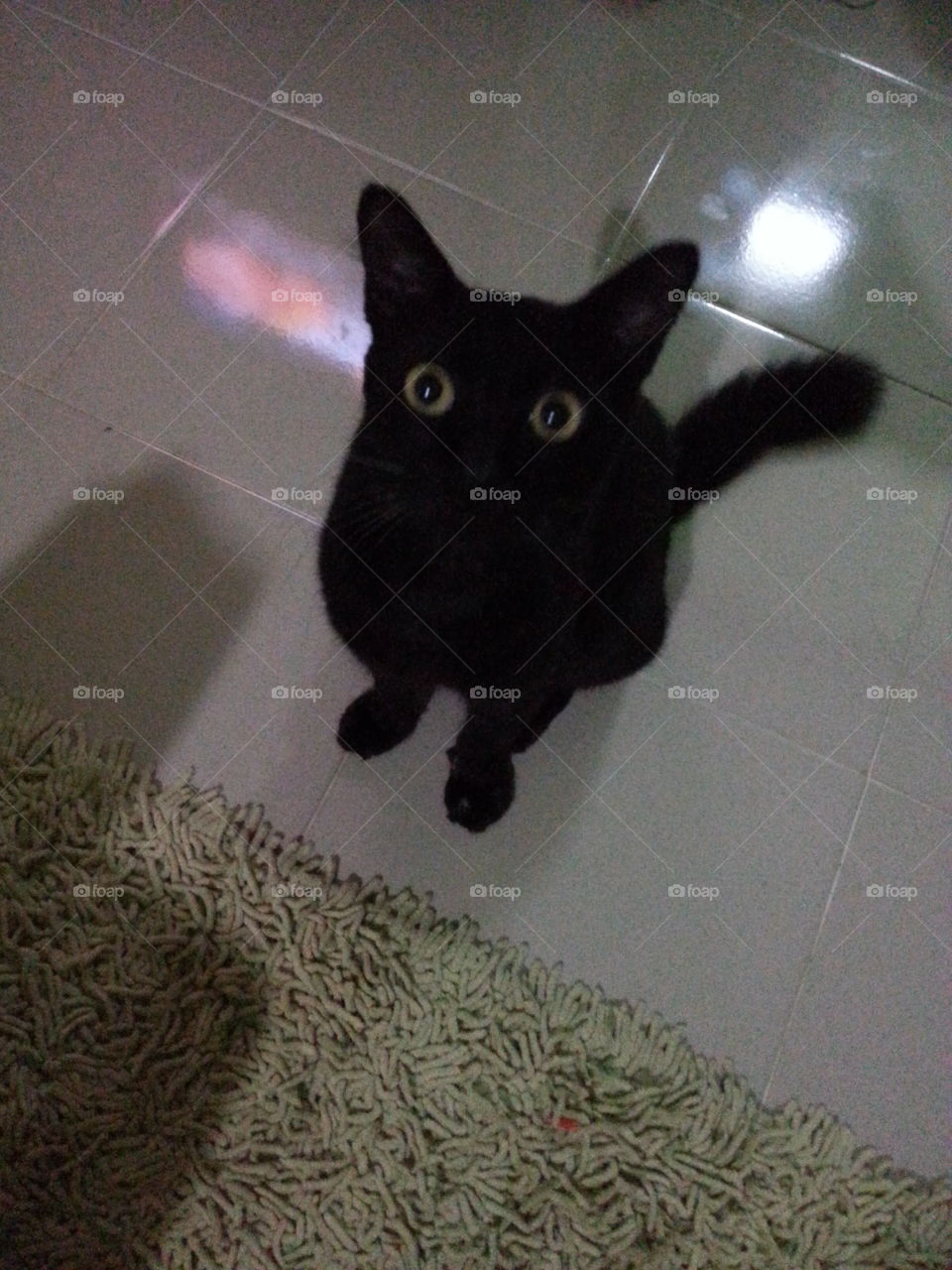 Toothless