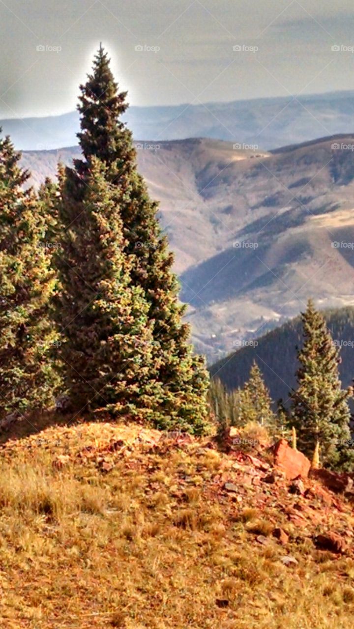 Radiant hillside set against majestic high mountain wilderness.