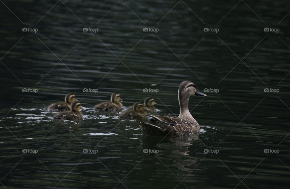 mother and children