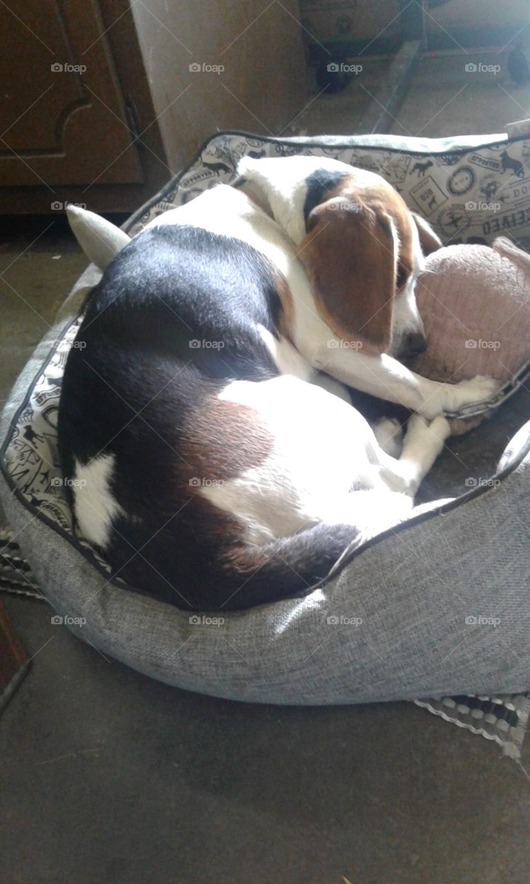 She is just the cutest!