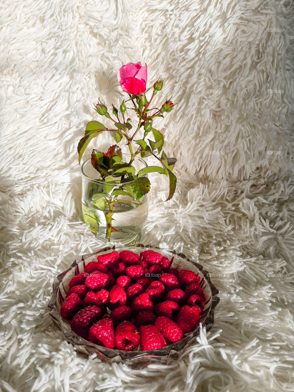 I had a helathy snack the other day at lunch. Raspberries have such a great taste and they have so few calories always a go to for me when I want a healthy snack that makes me feel refreshed.
