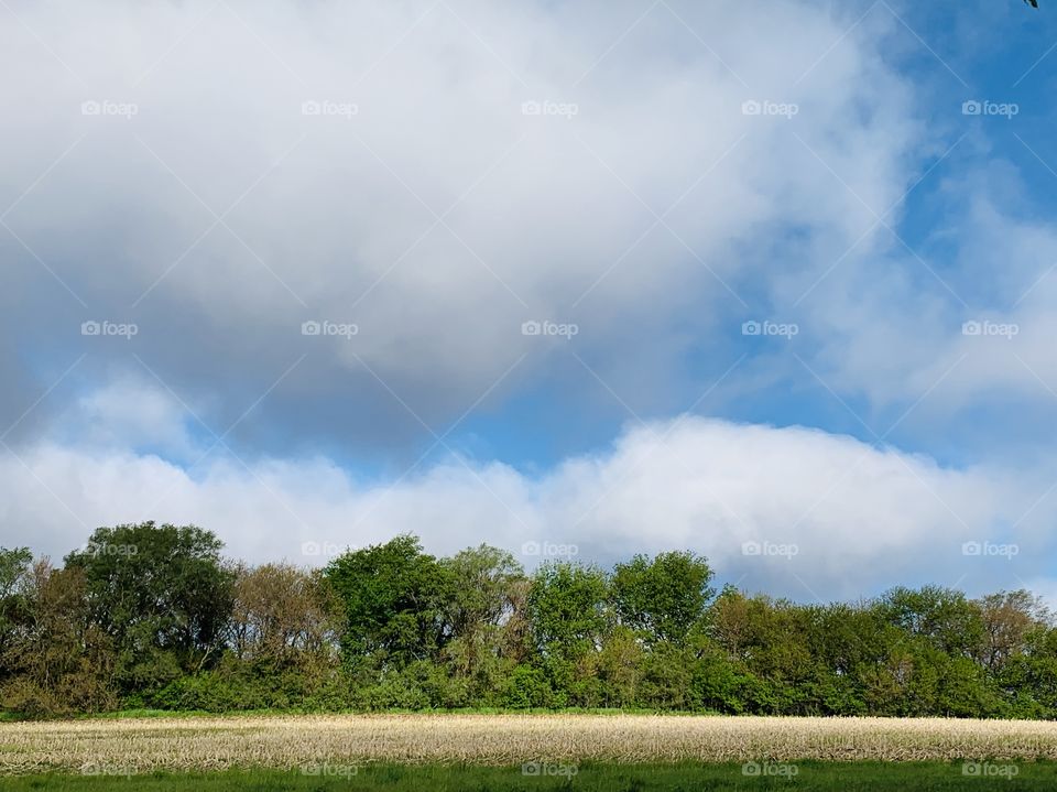 Large, grey clouds against a blue sky over a tree-lined, rural horizon in spring