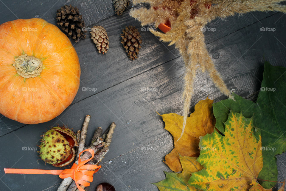 Vegetables, Halloween, pumpkin, corn, harvest, fertility, agriculture, food, cones, forest, birch branches