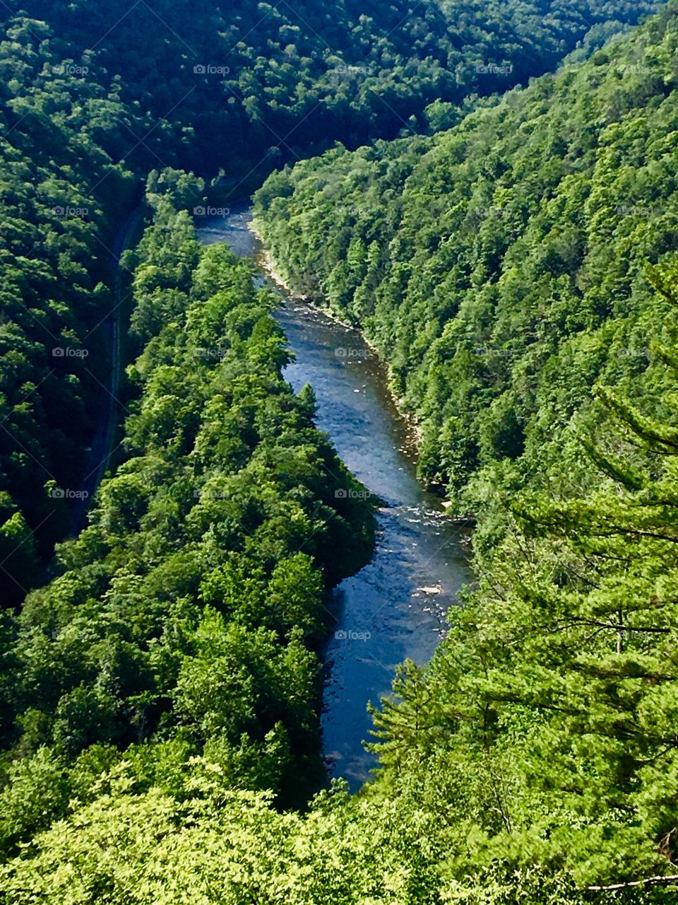 Grand Canyon of the east 