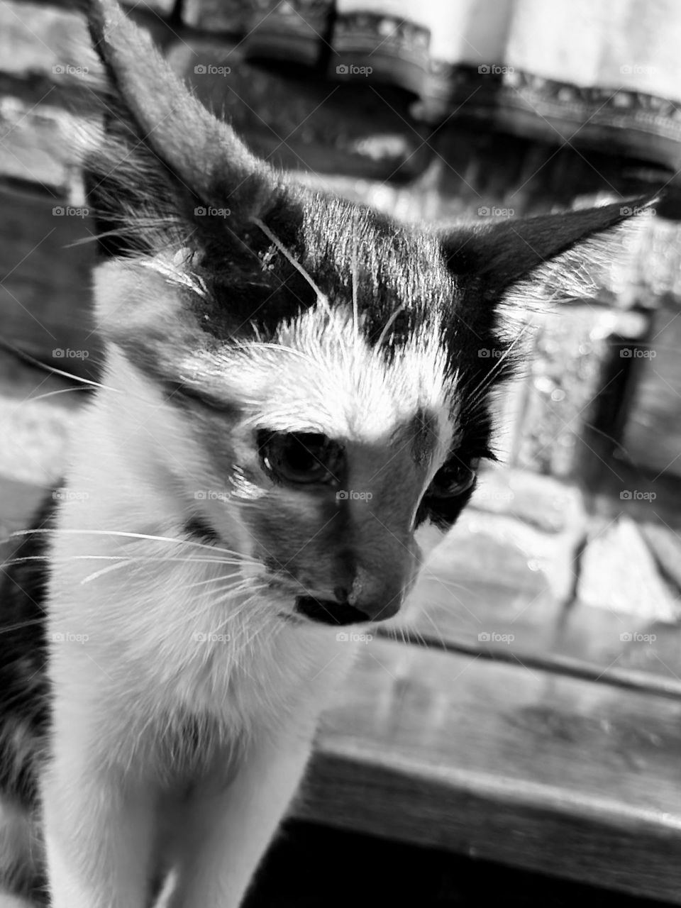 Lesson 2: Join to Premium by Foap Missions