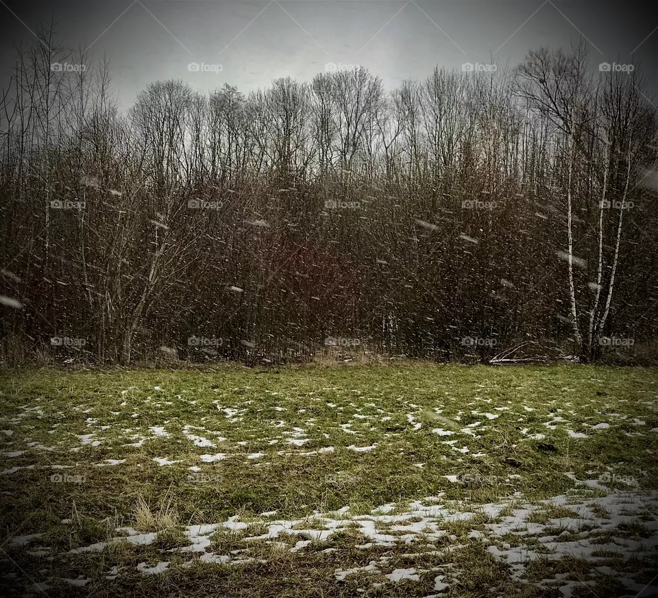 last snow