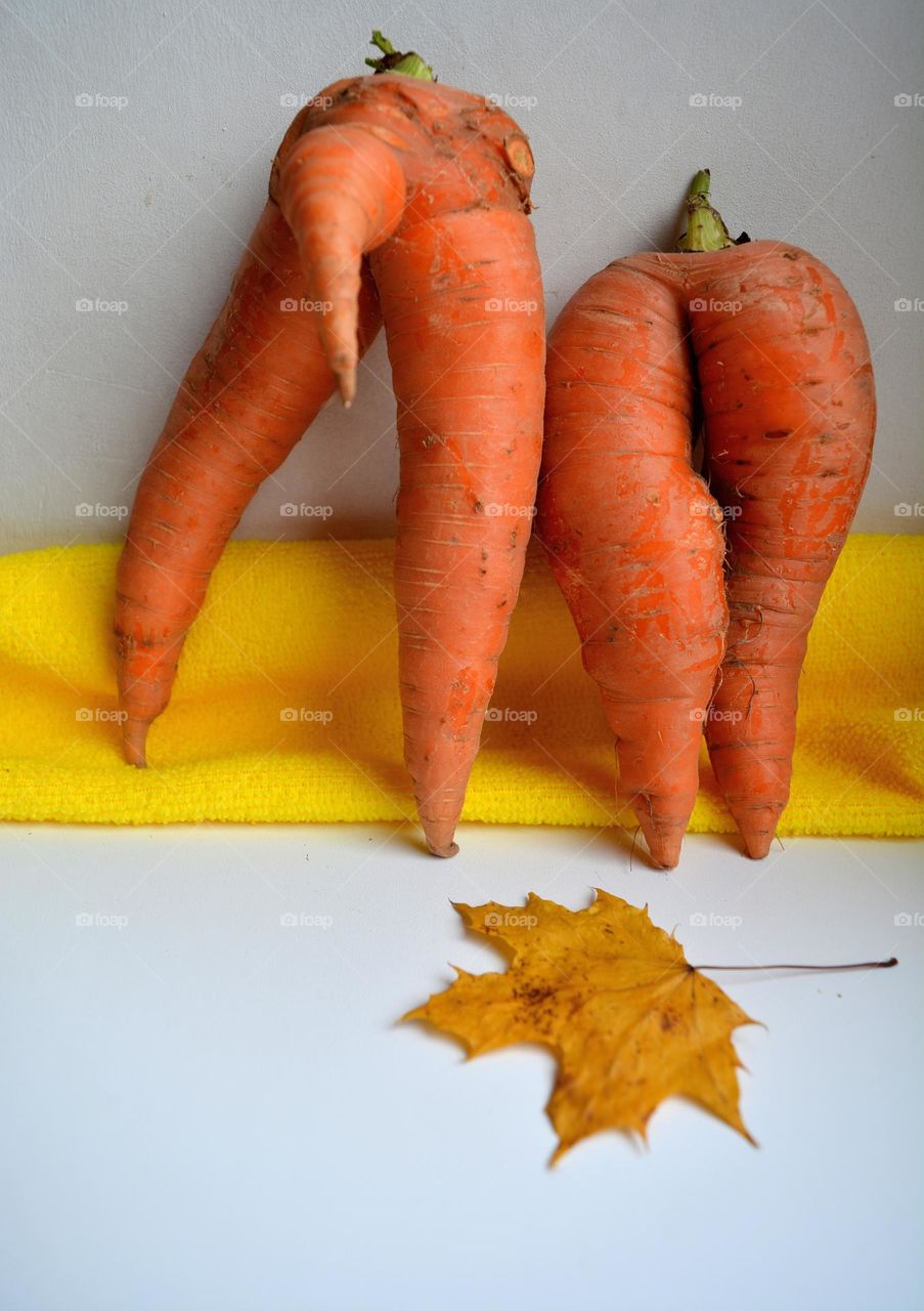 autumn harvest carrots and leaves