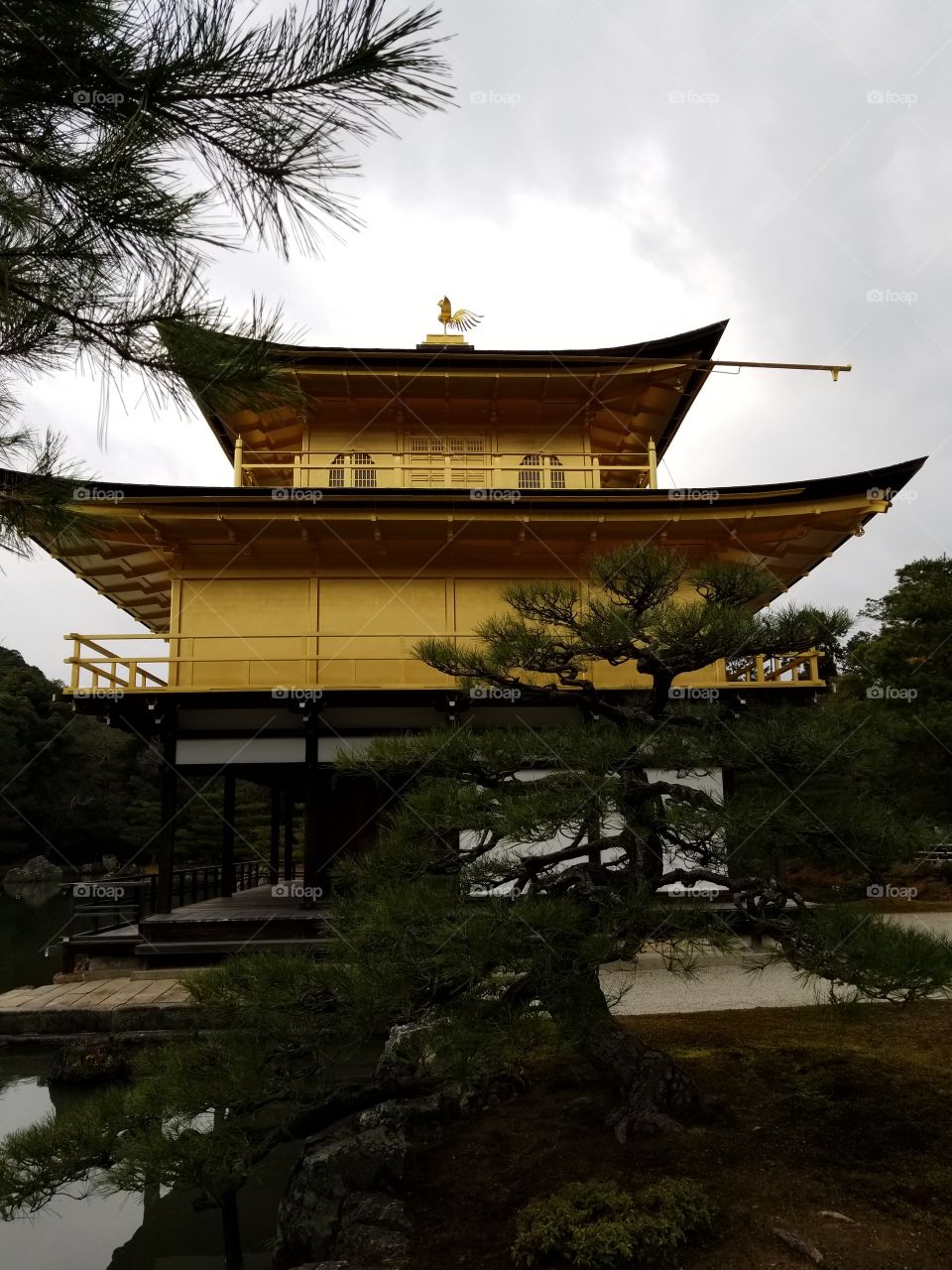 A close up shot of Kinkakuji in Kyoto.
Gold palace in winter on a cold day, created a beautiful, natural filter.