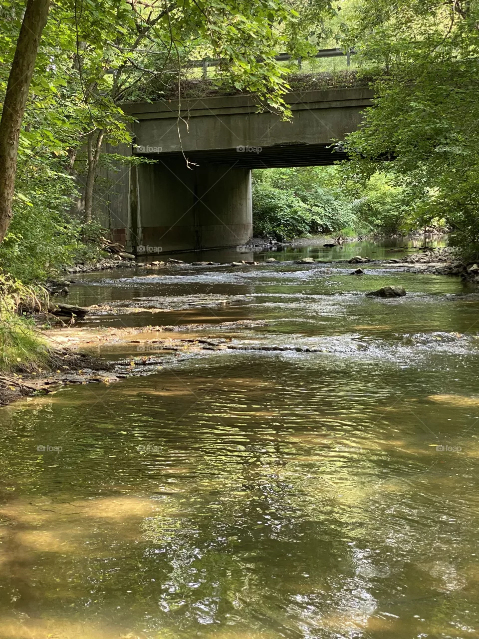 Come walk with me 