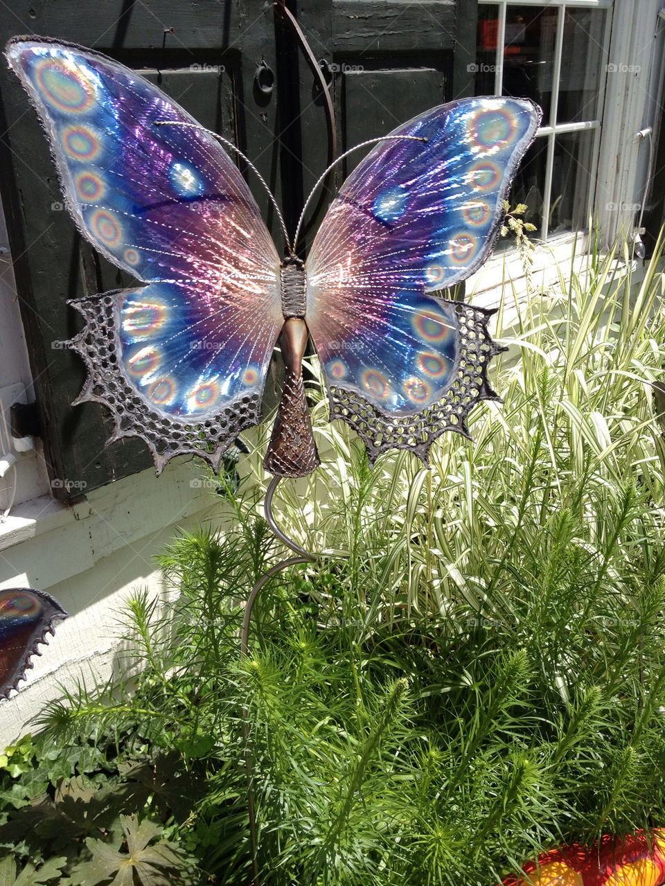 butterfly sculpture usa metal by kikicheeky