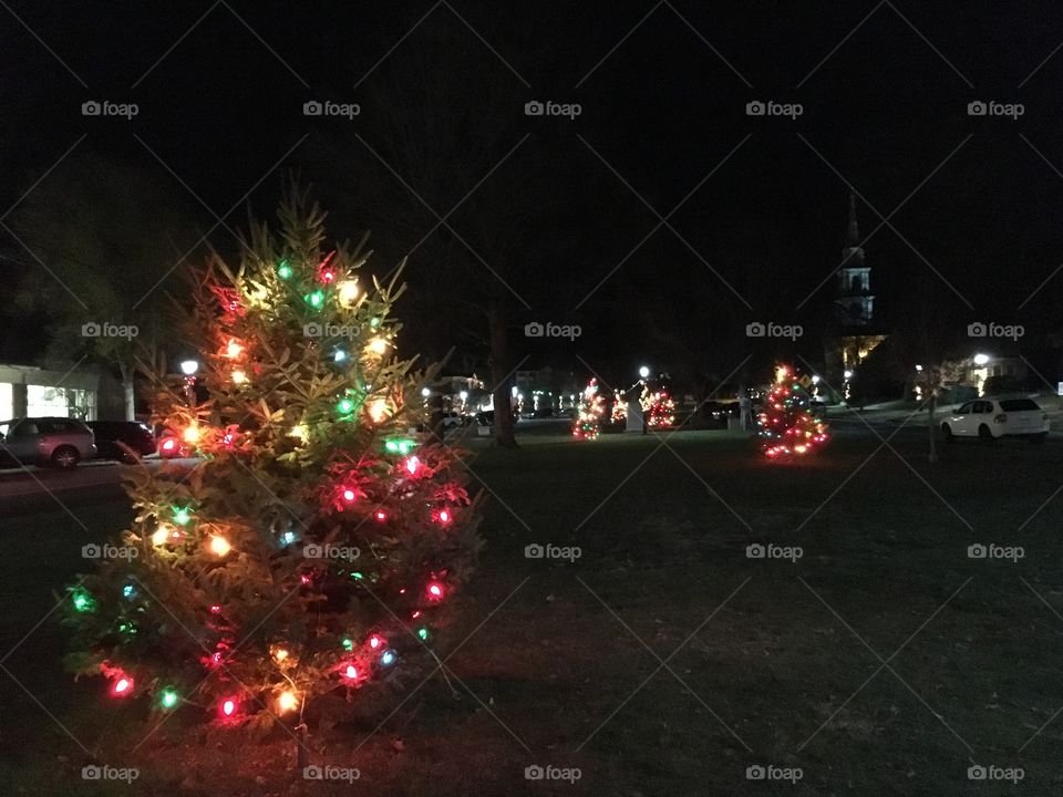 Trees on the Green