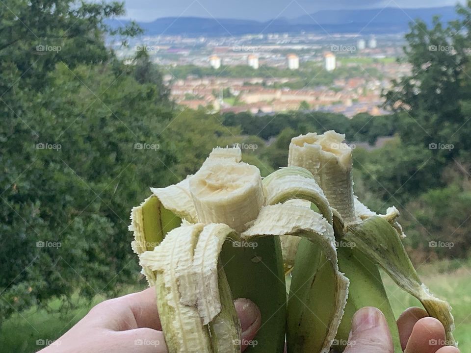 Nature and bananas