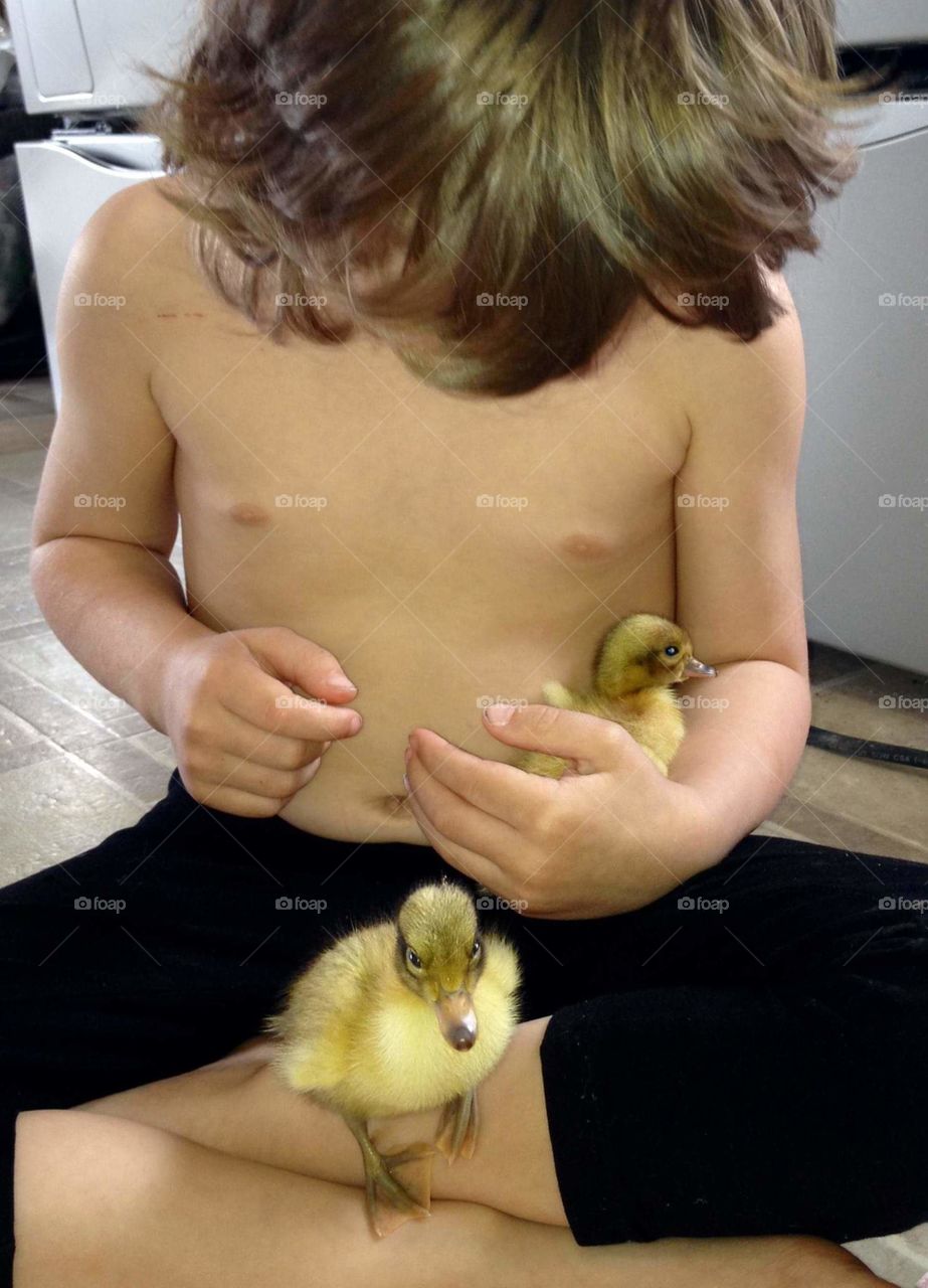 His favourite hobby - hatching and raising ducklings. Meet babies Donald and Daisy.