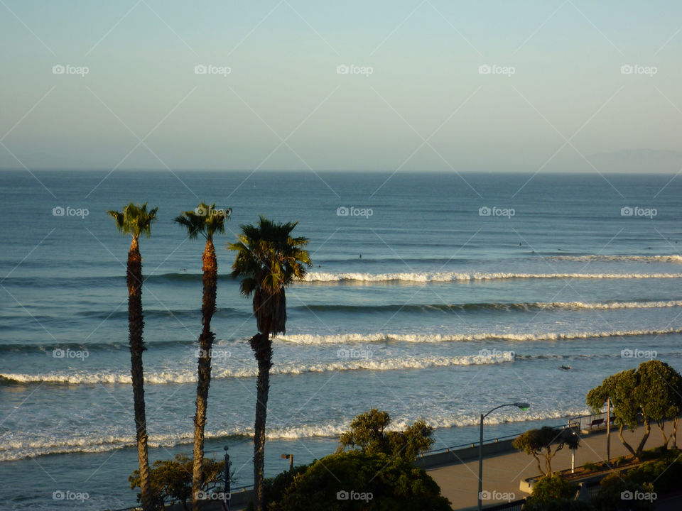 ocean palm trees by kenglund