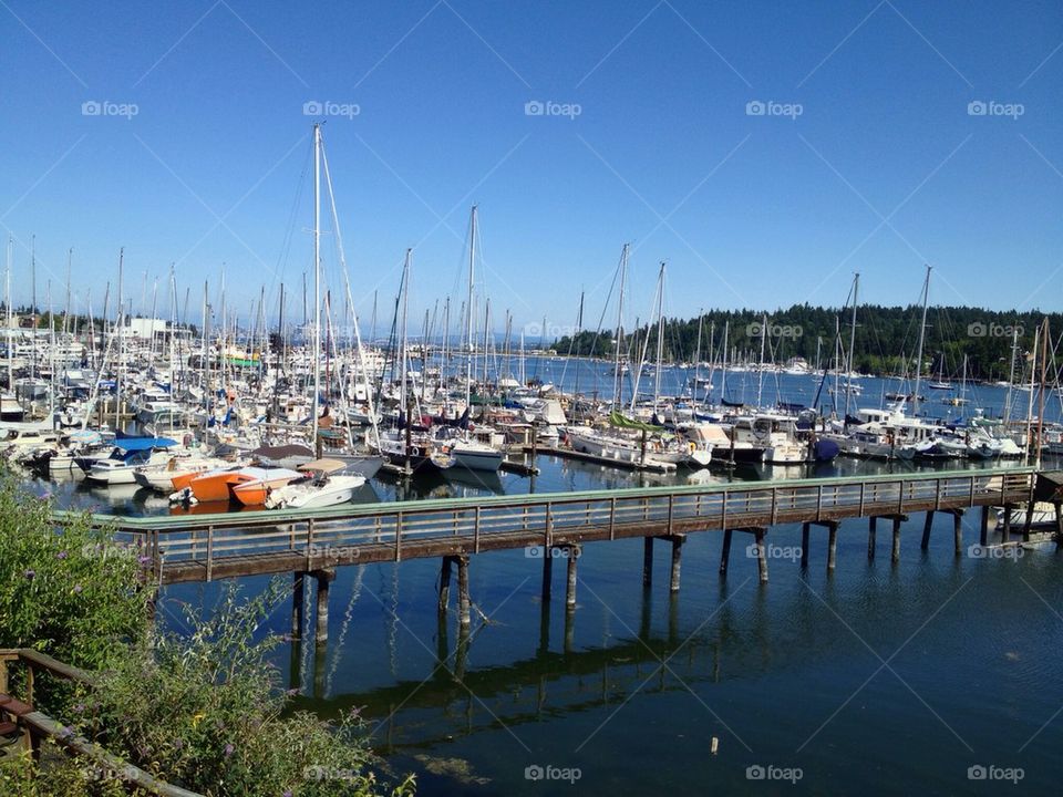 Bainbridge island