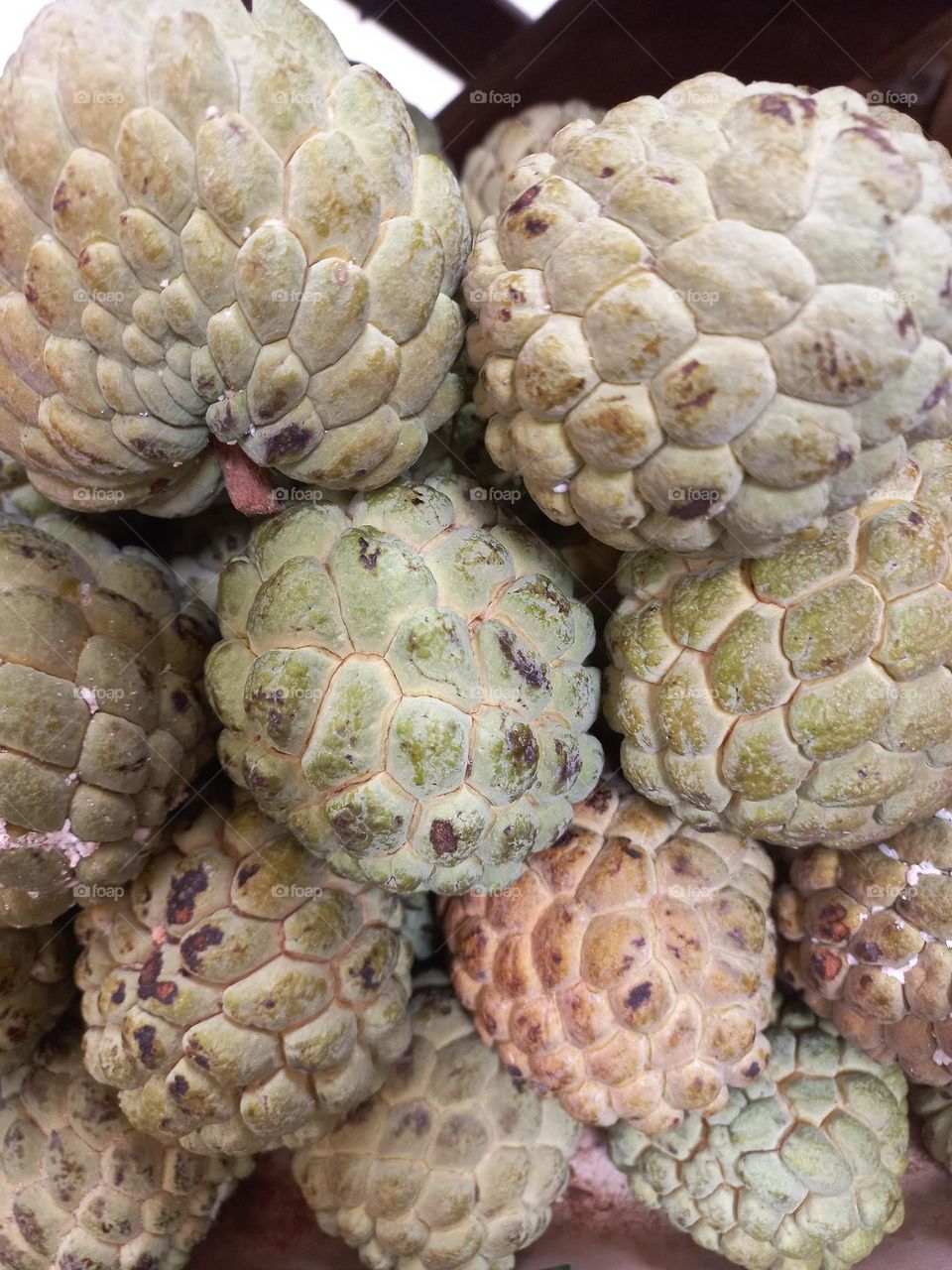 A fruta do conde, Ata ou Pinha é rica em cálcio, fósforo e magnésio que são minerais fundamentais para  fortalecer, aumentar e resistência e a densidade óssea, mantendo a saúde dos ossos, o que pode ajudar a prevenir doenças como osteoporose...