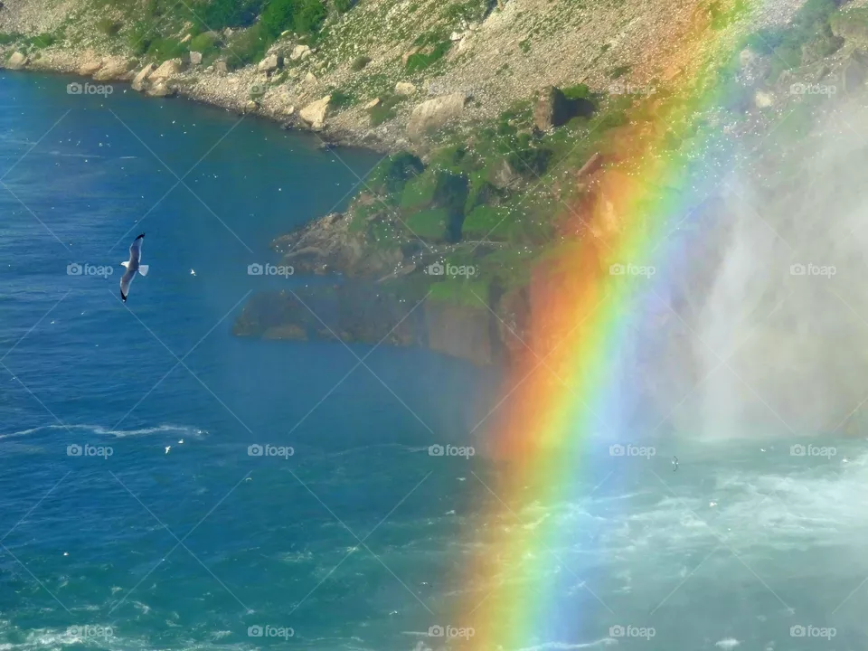 Rainbow