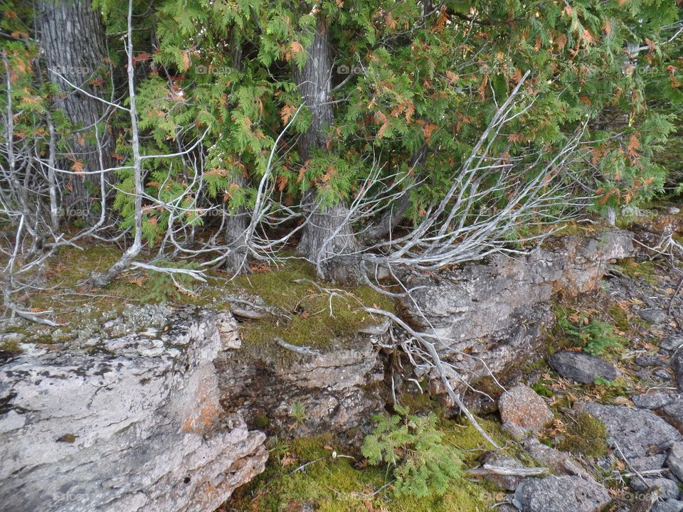 Drummond Island, Michigan 