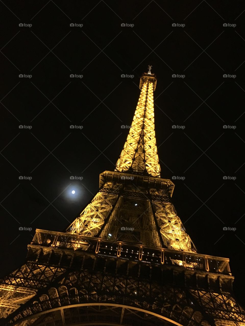 Eiffel Tower in the moo light 