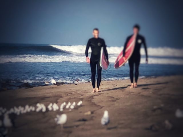 Surfers, Birds, Waves Heaven 