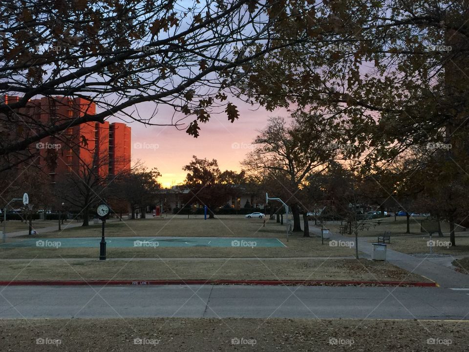 Delicate Campus Sunset
