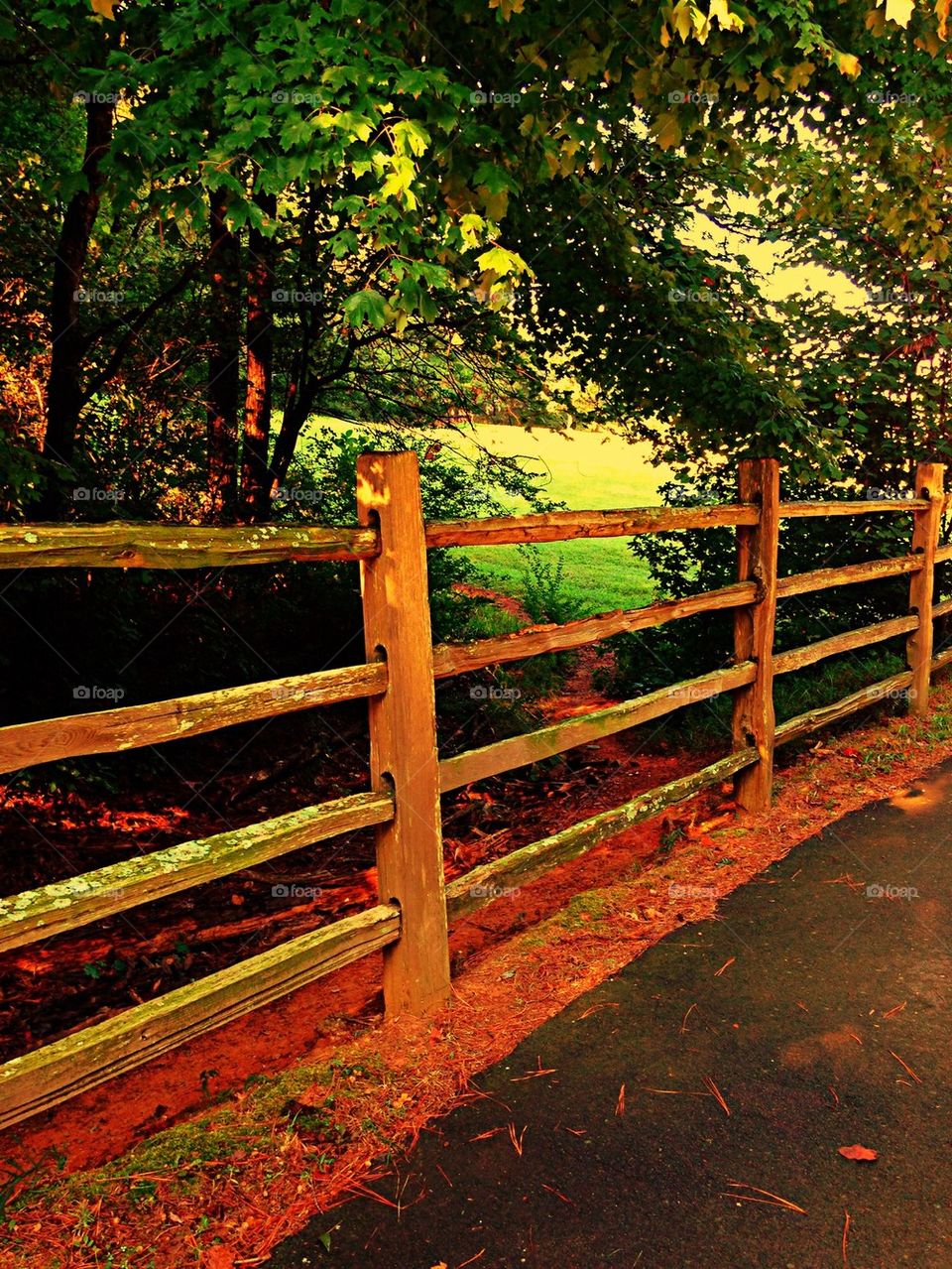 Split rail fence along a trail