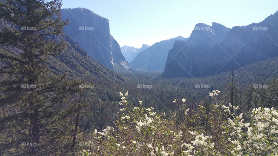 Inspiration Point