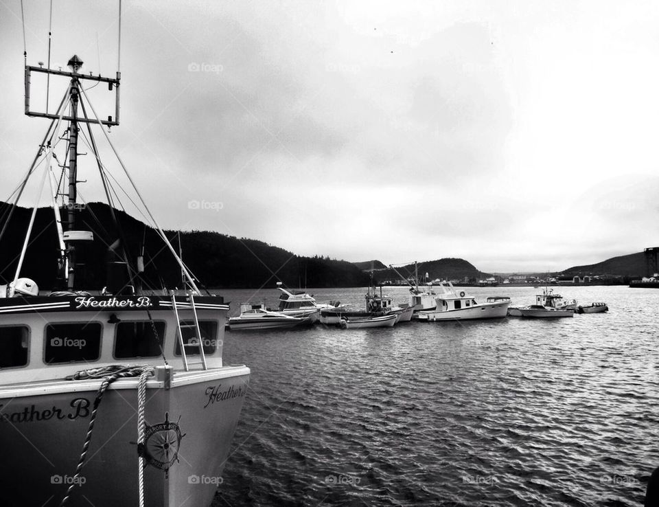 Placentia Bay