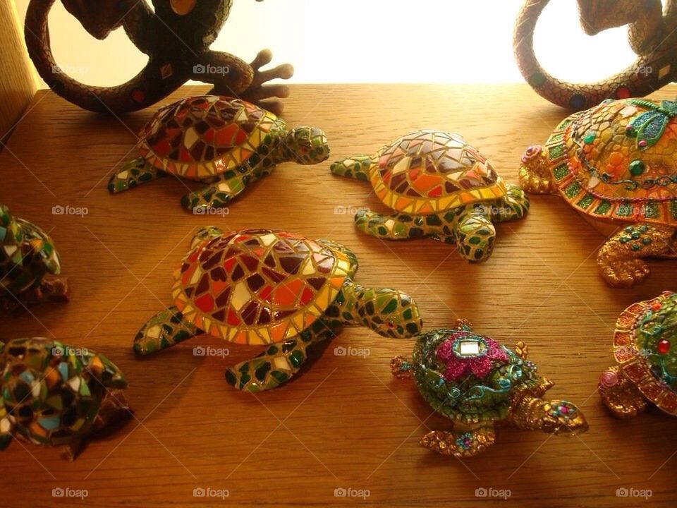 Turtles 