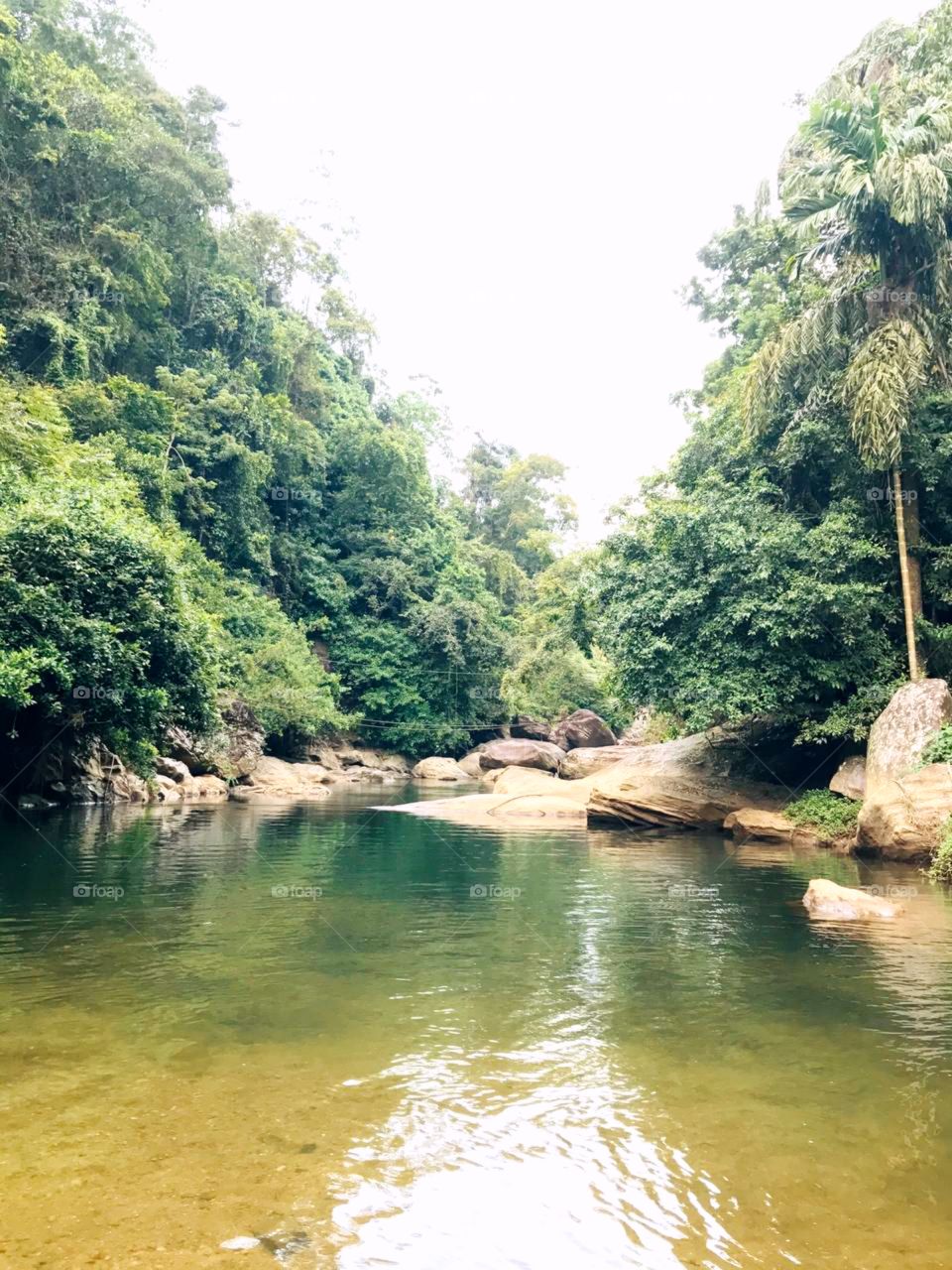 River flowing in Sri Lanka 